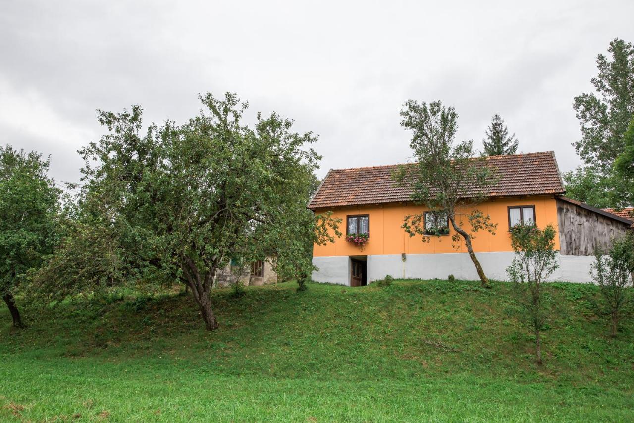 Kuca Za Odmor Jagnjic Apartment Josipdol Bagian luar foto